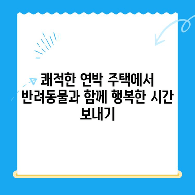 해든동물메디컬센터 근처, 쾌적한 연박 주택 찾기 | 반려동물과 함께 편안한 여행