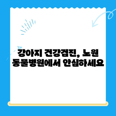 노원 동물병원 강아지 건강검진 & 초음파 후기| 꼼꼼한 검사부터 친절한 서비스까지 | 노원, 동물병원, 강아지, 건강검진, 초음파, 후기