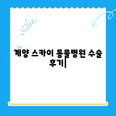 계양 스카이 동물병원 수술 후기| 24시간 대응, 믿음직한 진료 경험 | 동물병원, 수술, 응급, 후기, 추천