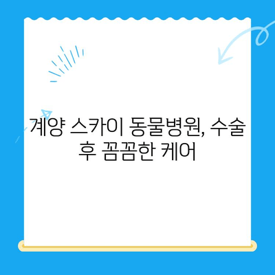 계양 스카이 동물병원 수술 후기| 24시간 대응, 믿음직한 진료 경험 | 동물병원, 수술, 응급, 후기, 추천