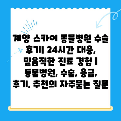 계양 스카이 동물병원 수술 후기| 24시간 대응, 믿음직한 진료 경험 | 동물병원, 수술, 응급, 후기, 추천