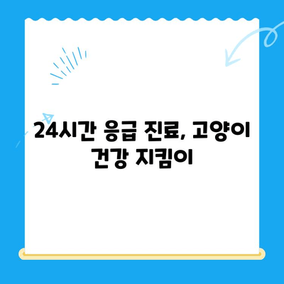 고양이 건강 체크, 24시 동물병원 검진 후 회복실 생활 가이드 | 고양이 건강, 동물병원, 회복, 입원