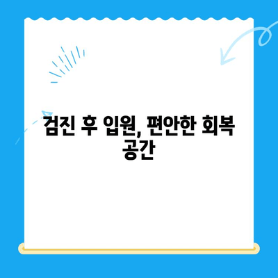 고양이 건강 체크, 24시 동물병원 검진 후 회복실 생활 가이드 | 고양이 건강, 동물병원, 회복, 입원