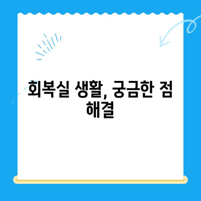 고양이 건강 체크, 24시 동물병원 검진 후 회복실 생활 가이드 | 고양이 건강, 동물병원, 회복, 입원