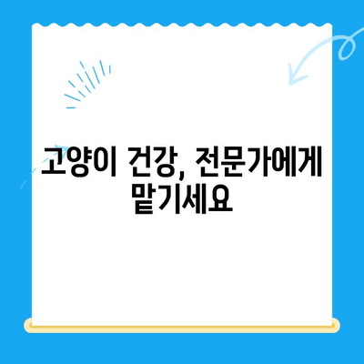 고양이 건강 체크, 24시 동물병원 검진 후 회복실 생활 가이드 | 고양이 건강, 동물병원, 회복, 입원