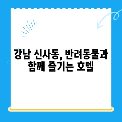 신사동 24시 동물병원 주변 추천 호텔| 편리하고 안전한 숙박 정보 | 신사동, 동물병원, 호텔, 숙박, 24시, 강남