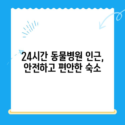 신사동 24시 동물병원 주변 추천 호텔| 편리하고 안전한 숙박 정보 | 신사동, 동물병원, 호텔, 숙박, 24시, 강남
