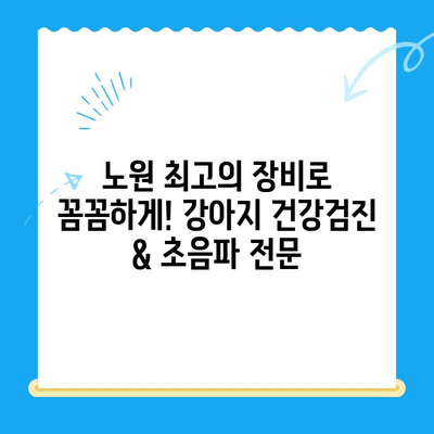 노원 강아지 건강검진 & 초음파 전문! VIP동물의료센터 노원점 추천 | 노원 동물병원, 강아지 건강검진, 초음파 검사, VIP동물의료센터