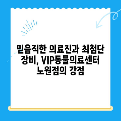 노원 강아지 건강검진 & 초음파 전문! VIP동물의료센터 노원점 추천 | 노원 동물병원, 강아지 건강검진, 초음파 검사, VIP동물의료센터