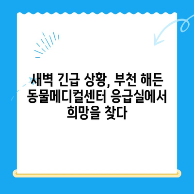 부천 24시 동물병원 해든 동물메디컬센터 응급실 후기| 긴급 상황 속 따뜻한 경험 | 부천, 24시 동물병원, 응급실, 해든 동물메디컬센터, 후기, 경험담