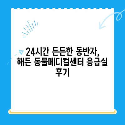 부천 24시 동물병원 해든 동물메디컬센터 응급실 후기| 긴급 상황 속 따뜻한 경험 | 부천, 24시 동물병원, 응급실, 해든 동물메디컬센터, 후기, 경험담