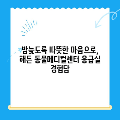 부천 24시 동물병원 해든 동물메디컬센터 응급실 후기| 긴급 상황 속 따뜻한 경험 | 부천, 24시 동물병원, 응급실, 해든 동물메디컬센터, 후기, 경험담