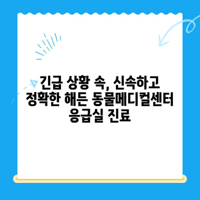 부천 24시 동물병원 해든 동물메디컬센터 응급실 후기| 긴급 상황 속 따뜻한 경험 | 부천, 24시 동물병원, 응급실, 해든 동물메디컬센터, 후기, 경험담