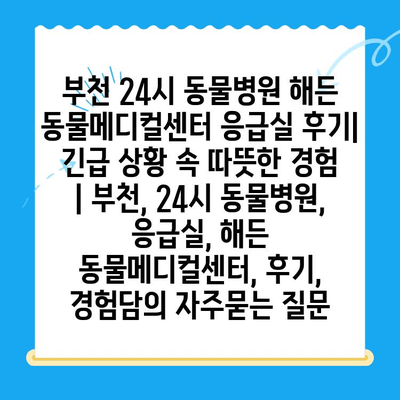 부천 24시 동물병원 해든 동물메디컬센터 응급실 후기| 긴급 상황 속 따뜻한 경험 | 부천, 24시 동물병원, 응급실, 해든 동물메디컬센터, 후기, 경험담