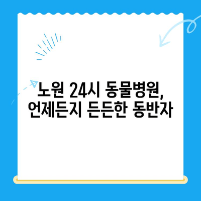 노원 VIP동물의료센터 노원점| 강아지 건강검진 & 초음파 검사 | 24시 동물병원, 건강관리, 예약 안내