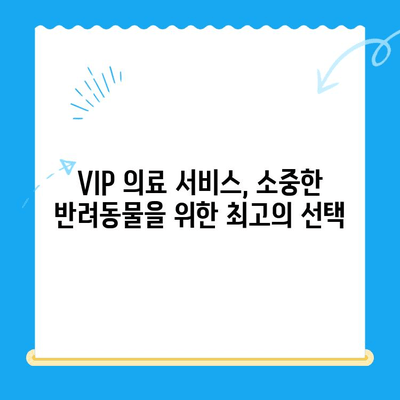 노원 VIP동물의료센터 노원점| 강아지 건강검진 & 초음파 검사 | 24시 동물병원, 건강관리, 예약 안내