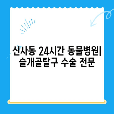 신사동 24시간 동물병원 슬개골탈구 수술 전문 기관 안내 | 강남, 반려동물, 슬개골, 수술, 응급