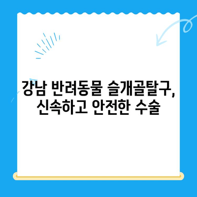 신사동 24시간 동물병원 슬개골탈구 수술 전문 기관 안내 | 강남, 반려동물, 슬개골, 수술, 응급