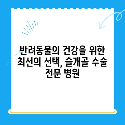 신사동 24시간 동물병원 슬개골탈구 수술 전문 기관 안내 | 강남, 반려동물, 슬개골, 수술, 응급
