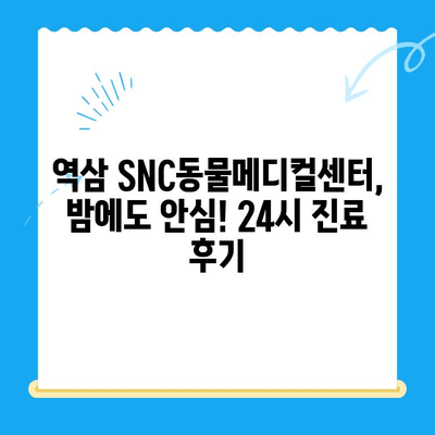 역삼 24시 동물병원 SNC동물메디컬센터 진료 후기| 고양이 진료 경험 공유 | 역삼, 24시 동물병원, 고양이, 진료 후기, SNC