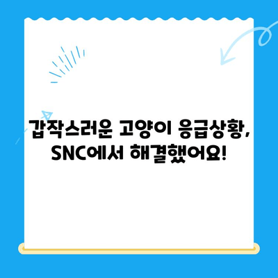 역삼 24시 동물병원 SNC동물메디컬센터 진료 후기| 고양이 진료 경험 공유 | 역삼, 24시 동물병원, 고양이, 진료 후기, SNC