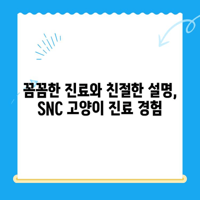 역삼 24시 동물병원 SNC동물메디컬센터 진료 후기| 고양이 진료 경험 공유 | 역삼, 24시 동물병원, 고양이, 진료 후기, SNC