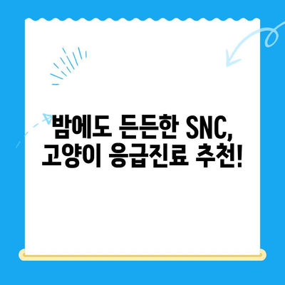 역삼 24시 동물병원 SNC동물메디컬센터 진료 후기| 고양이 진료 경험 공유 | 역삼, 24시 동물병원, 고양이, 진료 후기, SNC