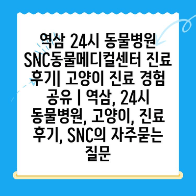 역삼 24시 동물병원 SNC동물메디컬센터 진료 후기| 고양이 진료 경험 공유 | 역삼, 24시 동물병원, 고양이, 진료 후기, SNC