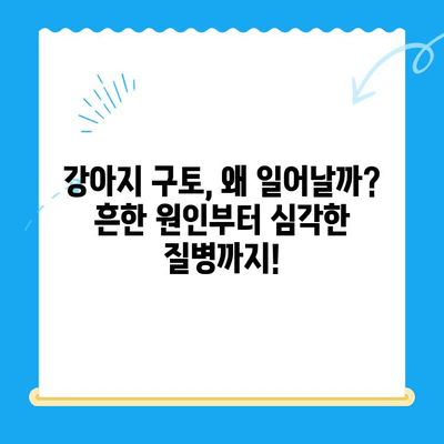 강아지 구토, 원인부터 치료비까지| 24시 동물병원 MRI | 강아지 구토, 응급처치, 동물병원 추천, 치료비용