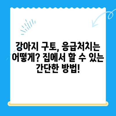 강아지 구토, 원인부터 치료비까지| 24시 동물병원 MRI | 강아지 구토, 응급처치, 동물병원 추천, 치료비용