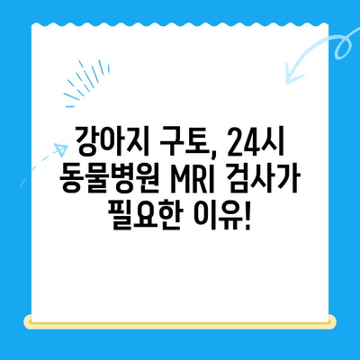 강아지 구토, 원인부터 치료비까지| 24시 동물병원 MRI | 강아지 구토, 응급처치, 동물병원 추천, 치료비용