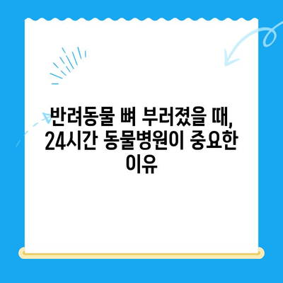 뼈가 부러진 반려동물 응급 상황, 24시간 동물병원이 필요한 이유 | 응급처치, 야간 진료, 동물병원 선택 가이드