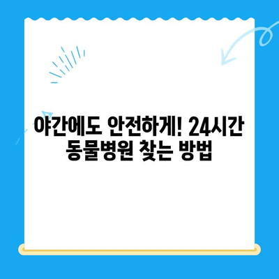 뼈가 부러진 반려동물 응급 상황, 24시간 동물병원이 필요한 이유 | 응급처치, 야간 진료, 동물병원 선택 가이드