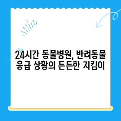 뼈가 부러진 반려동물 응급 상황, 24시간 동물병원이 필요한 이유 | 응급처치, 야간 진료, 동물병원 선택 가이드