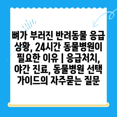 뼈가 부러진 반려동물 응급 상황, 24시간 동물병원이 필요한 이유 | 응급처치, 야간 진료, 동물병원 선택 가이드