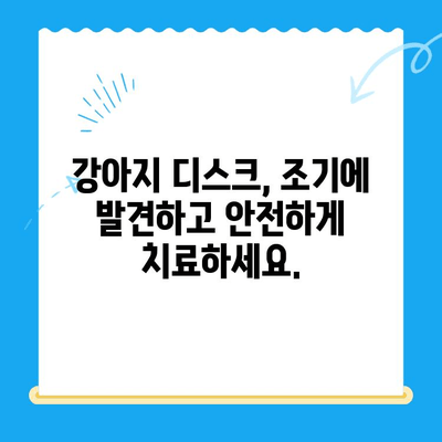 강아지 디스크 검진, 대구 24시 전문 동물병원에서 안전하게! | 24시범어동물의료센터, 디스크 증상, 진료, 치료, 수술