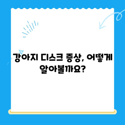 강아지 디스크 검진, 대구 24시 전문 동물병원에서 안전하게! | 24시범어동물의료센터, 디스크 증상, 진료, 치료, 수술