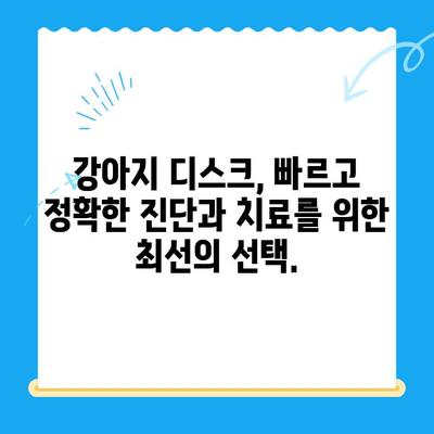 강아지 디스크 검진, 대구 24시 전문 동물병원에서 안전하게! | 24시범어동물의료센터, 디스크 증상, 진료, 치료, 수술