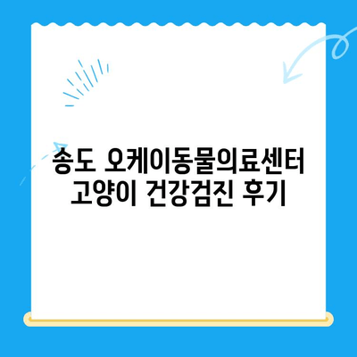송도 오케이동물의료센터 고양이 건강검진 후기|  꼼꼼한 진료와 친절한 서비스 | 송도 동물병원, 고양이 건강검진, 오케이동물의료센터