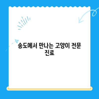송도 오케이동물의료센터 고양이 건강검진 후기|  꼼꼼한 진료와 친절한 서비스 | 송도 동물병원, 고양이 건강검진, 오케이동물의료센터
