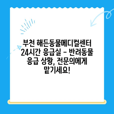 부천 해든동물메디컬센터 24시간 응급실| 반려동물 응급 상황, 지금 바로 전문의에게! | 부천 동물병원, 24시 응급, 야간진료