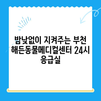 부천 해든동물메디컬센터 24시간 응급실| 반려동물 응급 상황, 지금 바로 전문의에게! | 부천 동물병원, 24시 응급, 야간진료