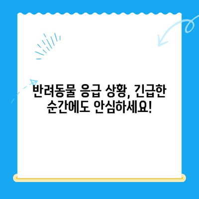 부천 해든동물메디컬센터 24시간 응급실| 반려동물 응급 상황, 지금 바로 전문의에게! | 부천 동물병원, 24시 응급, 야간진료