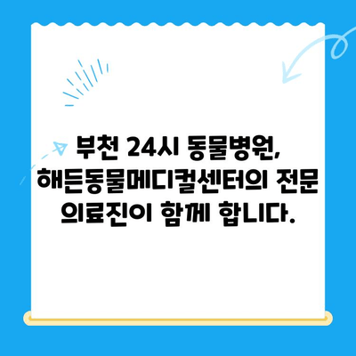 부천 해든동물메디컬센터 24시간 응급실| 반려동물 응급 상황, 지금 바로 전문의에게! | 부천 동물병원, 24시 응급, 야간진료