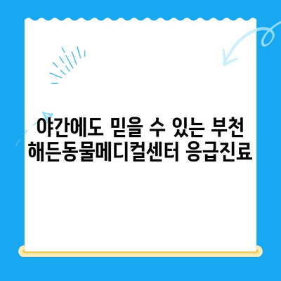 부천 해든동물메디컬센터 24시간 응급실| 반려동물 응급 상황, 지금 바로 전문의에게! | 부천 동물병원, 24시 응급, 야간진료