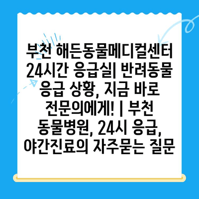 부천 해든동물메디컬센터 24시간 응급실| 반려동물 응급 상황, 지금 바로 전문의에게! | 부천 동물병원, 24시 응급, 야간진료