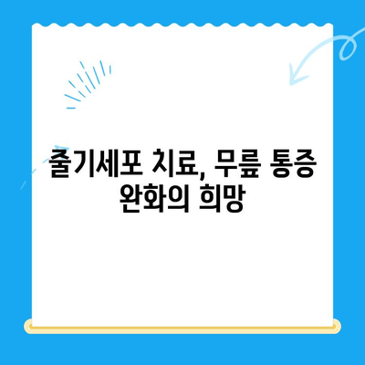 무릎 줄기세포 투여, 통증 악화 막는 비밀 | 무릎 통증, 줄기세포 치료, 통증 완화