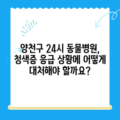 양천구 24시 지구촌 동물메디컬센터 청색증 응급 진료 기록| 반려동물 응급 상황 대처 가이드 | 동물병원, 응급실, 청색증, 반려동물 건강