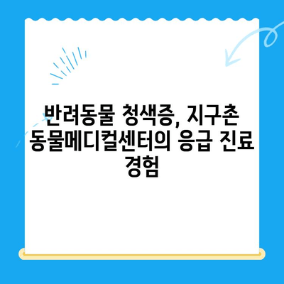 양천구 24시 지구촌 동물메디컬센터 청색증 응급 진료 기록| 반려동물 응급 상황 대처 가이드 | 동물병원, 응급실, 청색증, 반려동물 건강