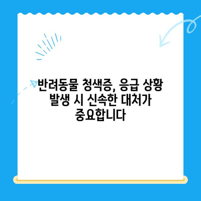 양천구 24시 지구촌 동물메디컬센터 청색증 응급 진료 기록| 반려동물 응급 상황 대처 가이드 | 동물병원, 응급실, 청색증, 반려동물 건강